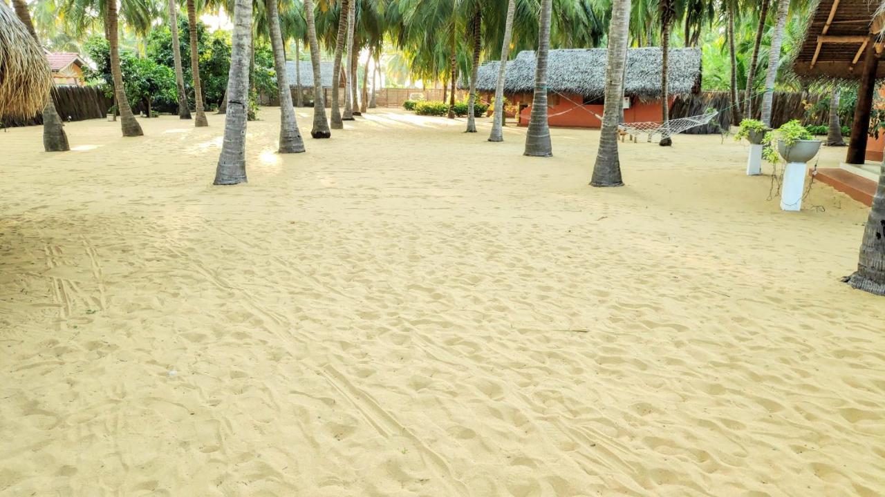 Roshanne Beach Resort Kalpitiya Exteriér fotografie