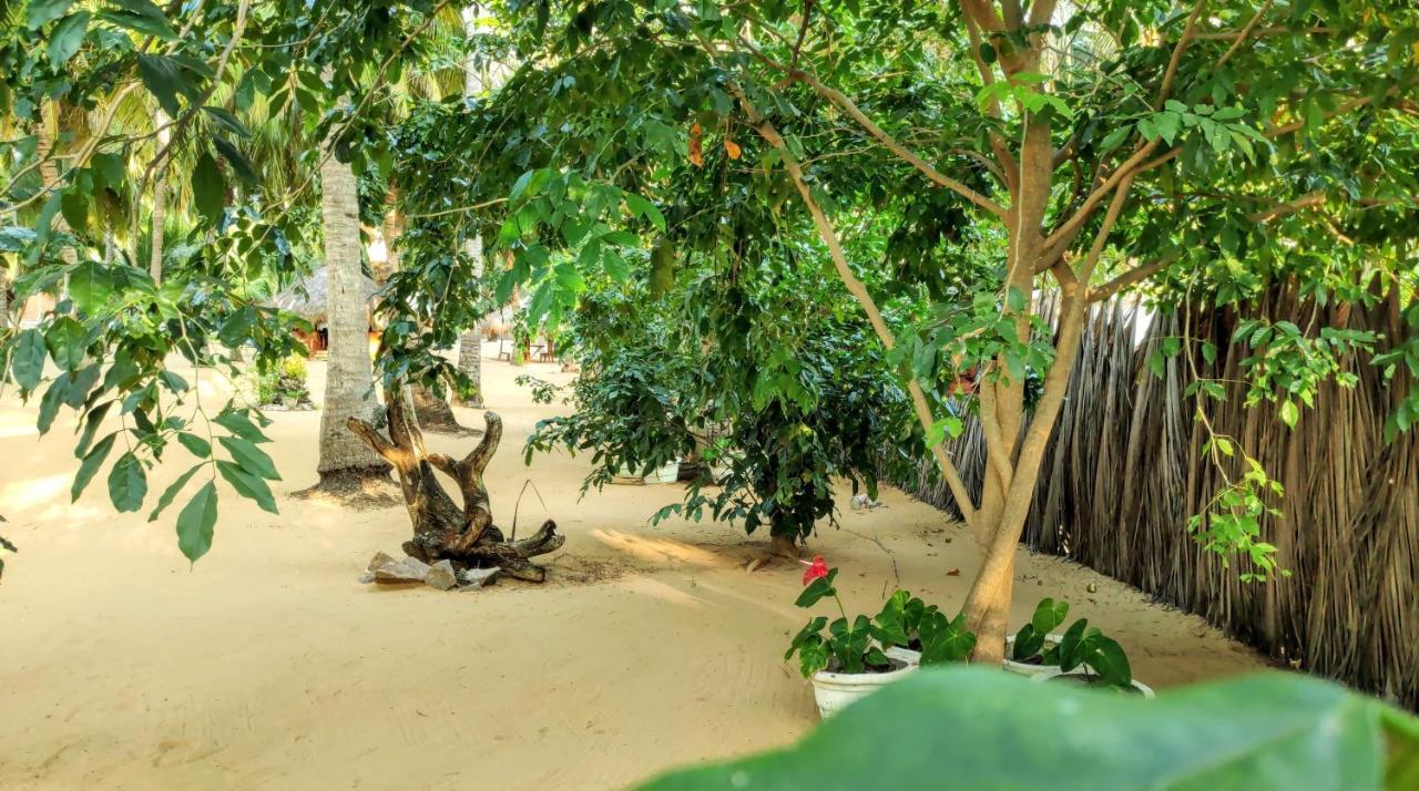 Roshanne Beach Resort Kalpitiya Exteriér fotografie