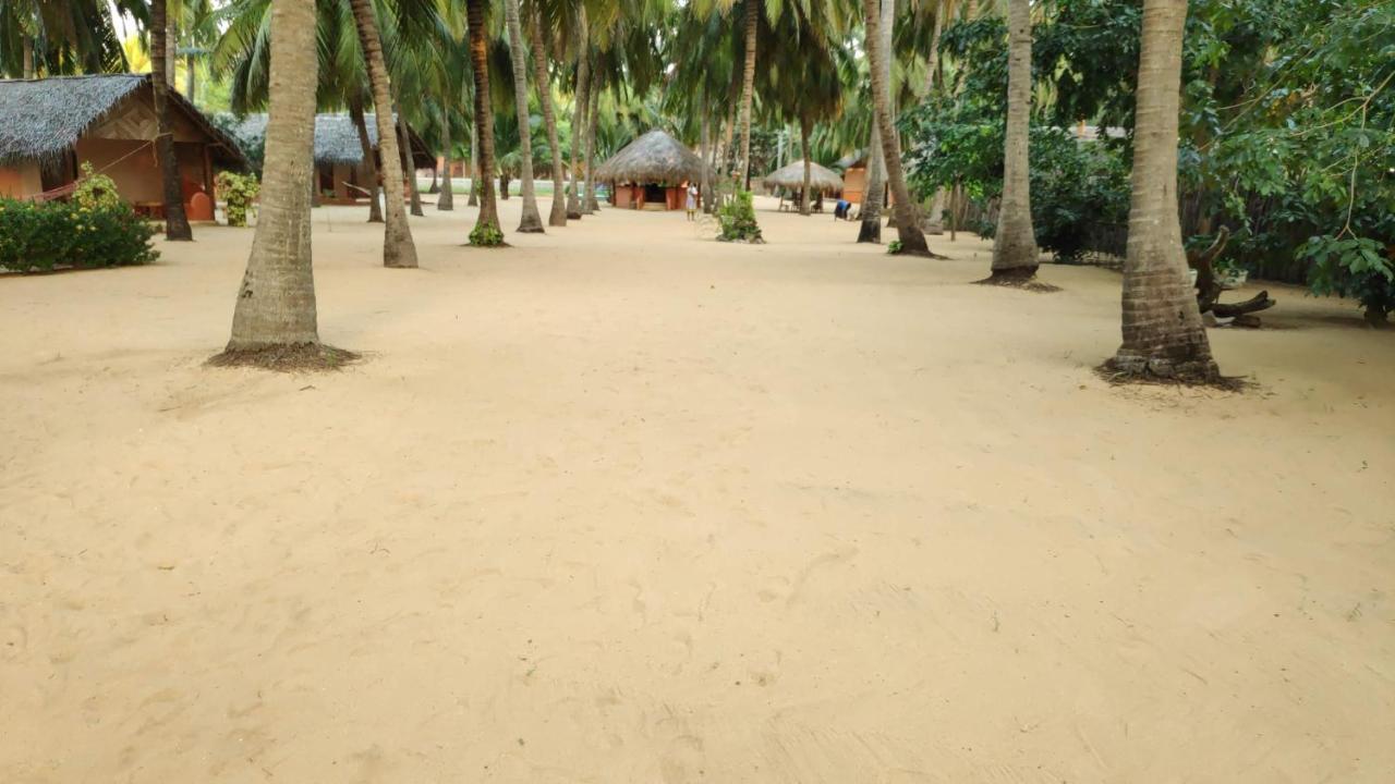 Roshanne Beach Resort Kalpitiya Exteriér fotografie