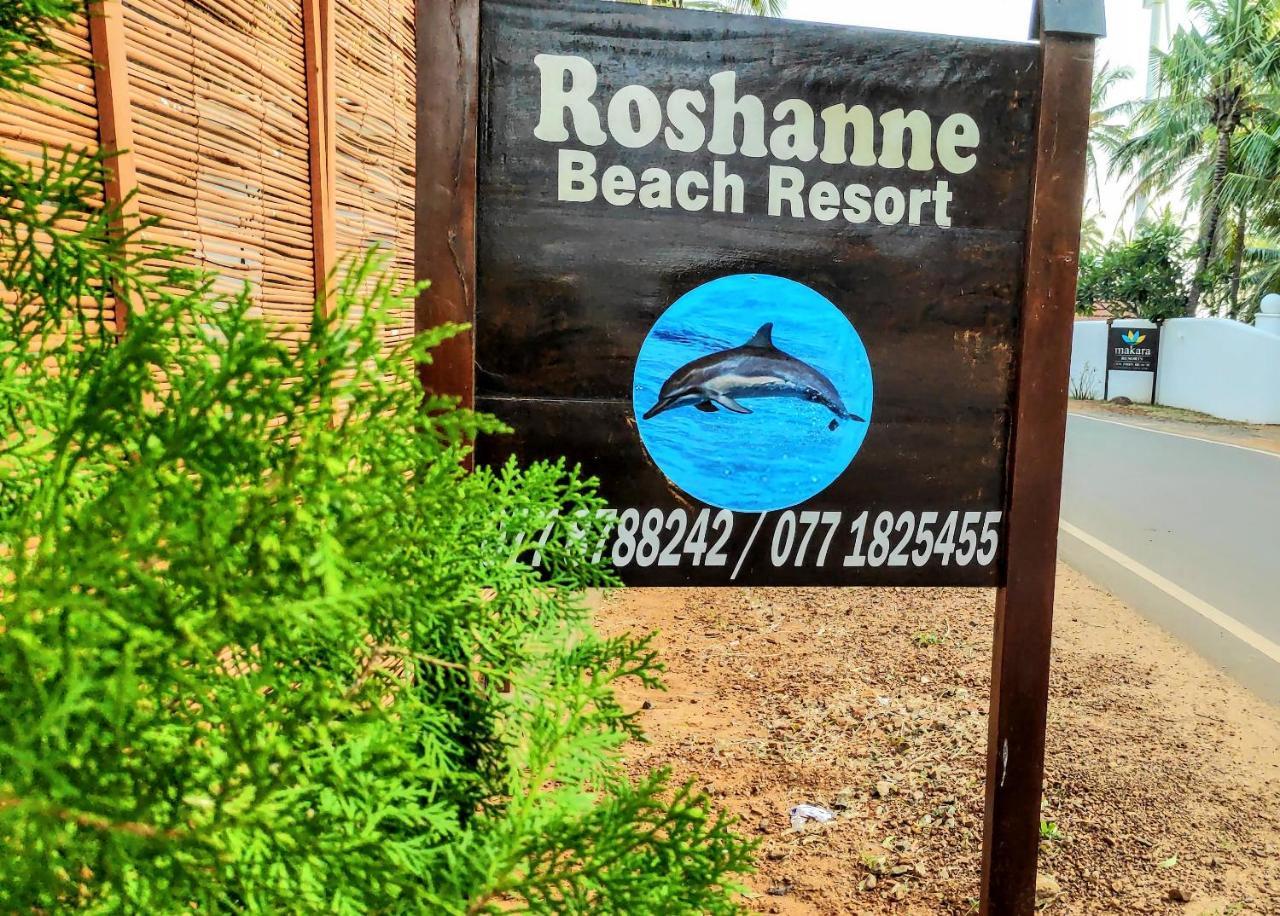 Roshanne Beach Resort Kalpitiya Exteriér fotografie