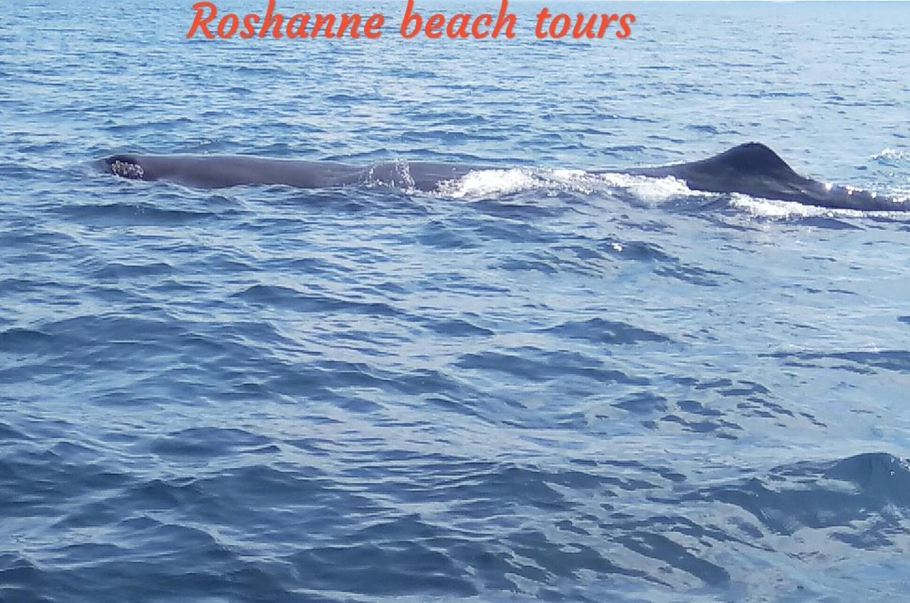 Roshanne Beach Resort Kalpitiya Exteriér fotografie